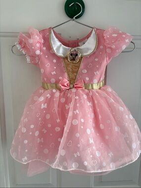 Disney Pink Minnie Mouse Gold-Trimmed Tulle Party Dress